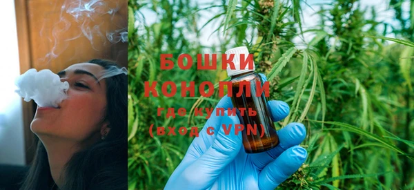 стаф Надым