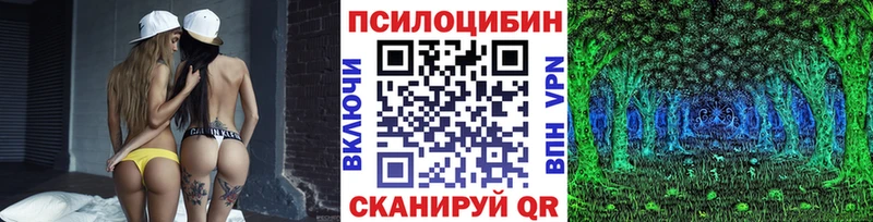 Галлюциногенные грибы Psilocybe  Ухта 